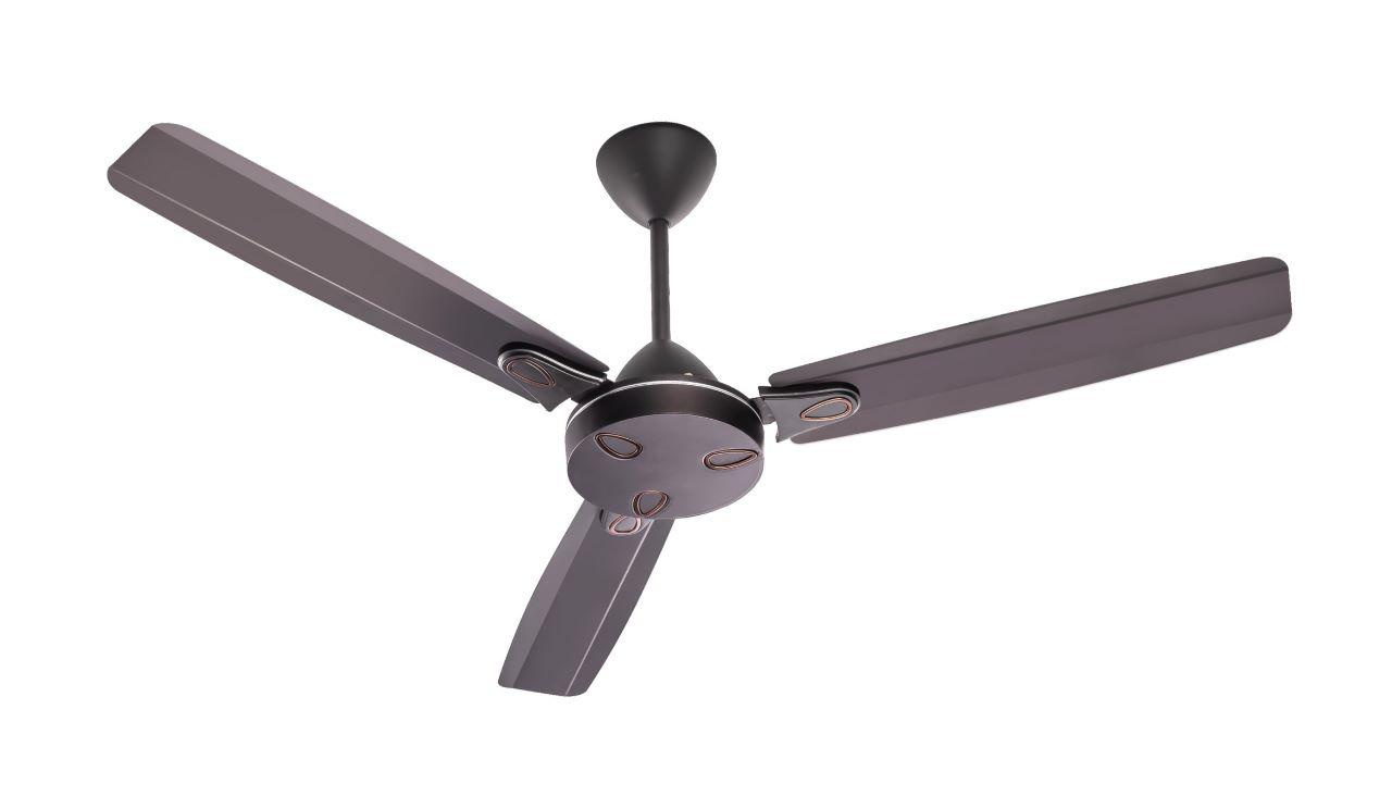 BLDC Ceiling Fan Manufacturer in Noida
